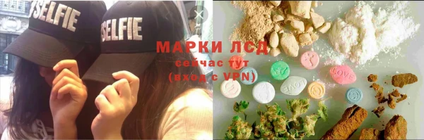 ГАЛЛЮЦИНОГЕННЫЕ ГРИБЫ Корсаков