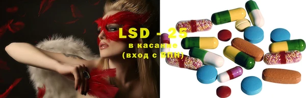 ГАЛЛЮЦИНОГЕННЫЕ ГРИБЫ Корсаков