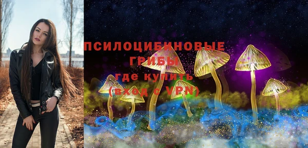 ГАЛЛЮЦИНОГЕННЫЕ ГРИБЫ Корсаков