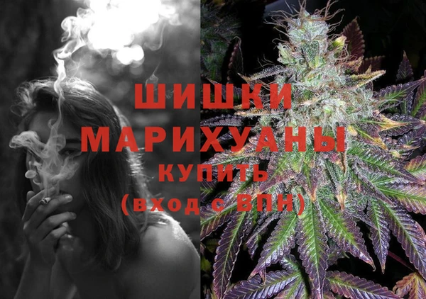 ГАЛЛЮЦИНОГЕННЫЕ ГРИБЫ Корсаков