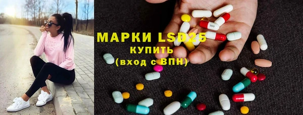ГАЛЛЮЦИНОГЕННЫЕ ГРИБЫ Корсаков