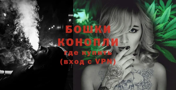 ГАЛЛЮЦИНОГЕННЫЕ ГРИБЫ Корсаков