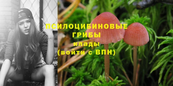 марихуана Коряжма